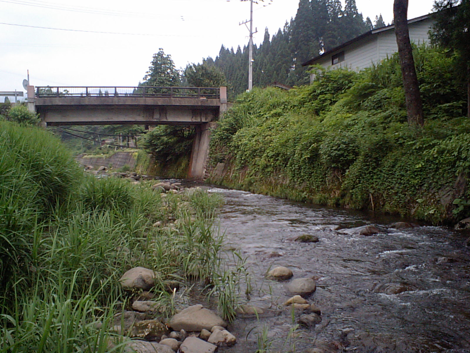 a0093677_22582672.jpg