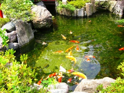 c0078480_117547.jpg