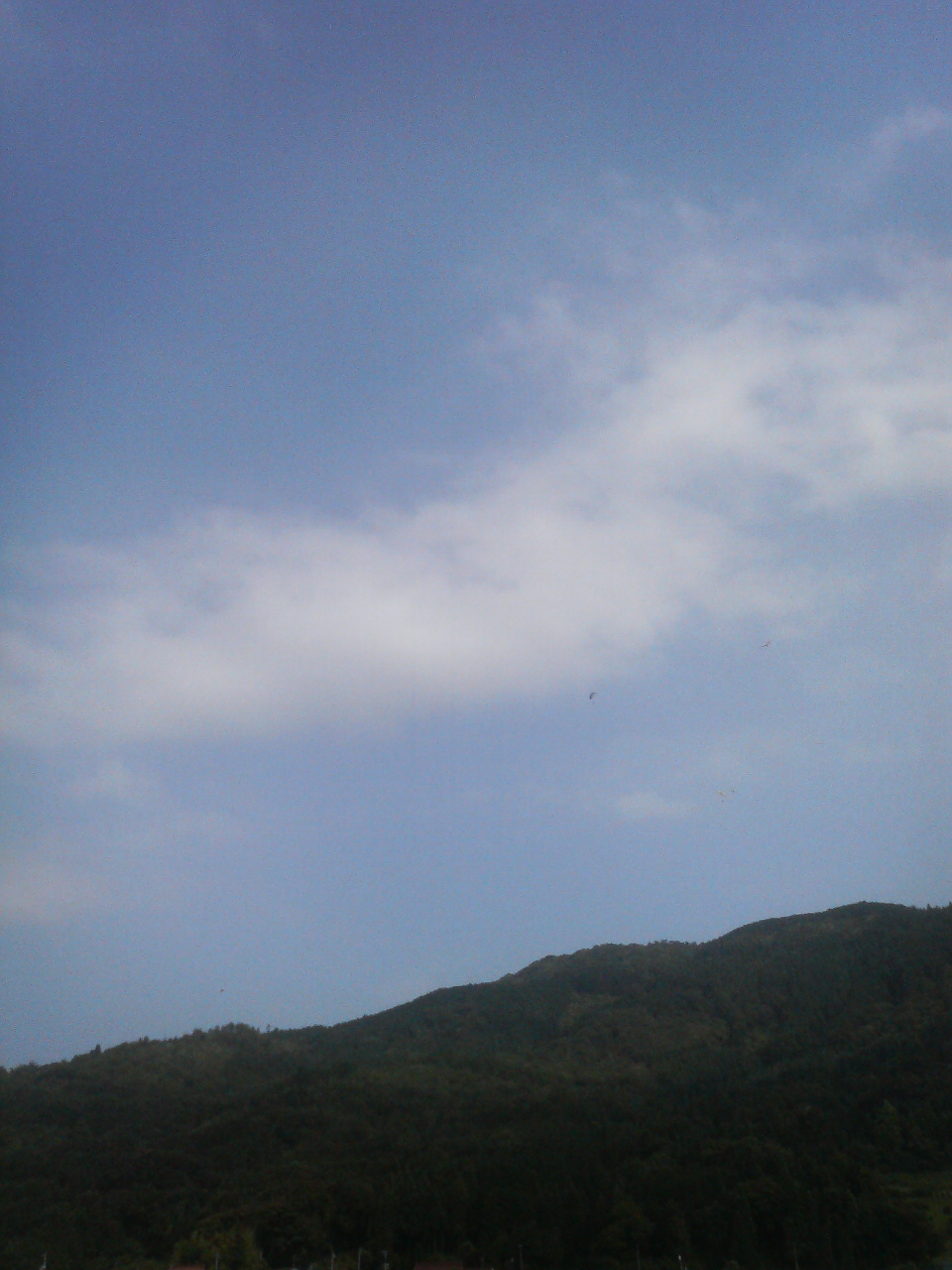 e0024081_771023.jpg