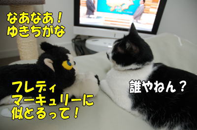 b0041182_15113100.jpg