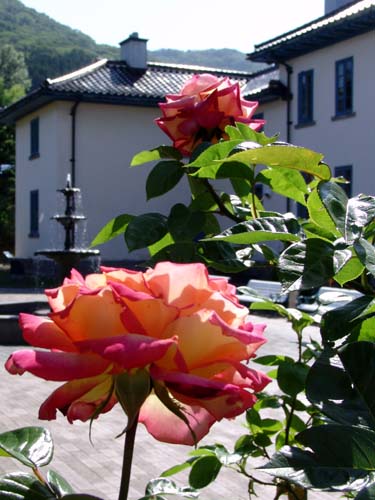 f0092382_13202228.jpg