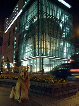 c0096393_22185811.jpg