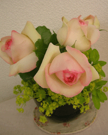 b0032694_1819436.gif