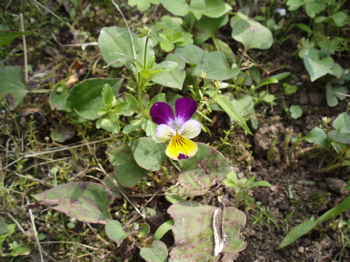 f0130894_22234215.jpg