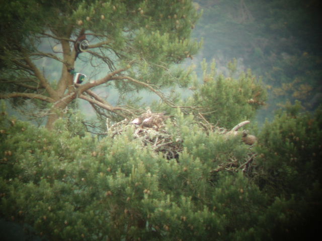 c0114797_2484537.jpg