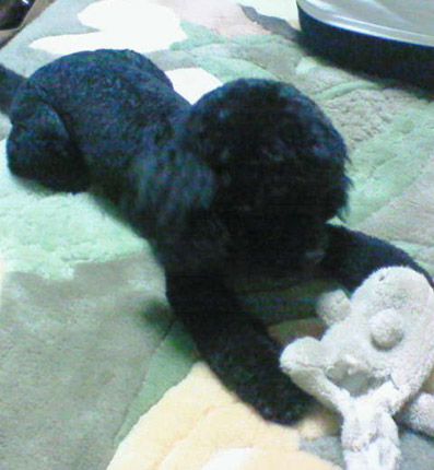 e0013900_12582078.jpg