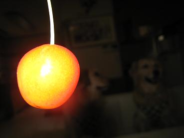 e0117503_23325877.jpg