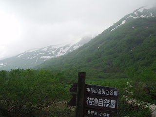e0121110_1156985.jpg