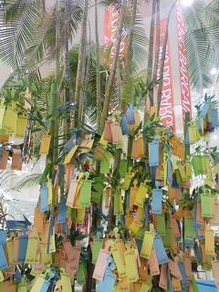 d0050713_12233616.jpg