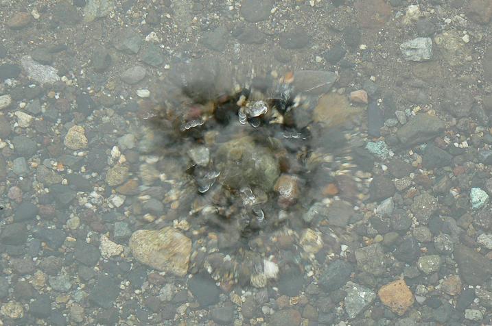 c0086014_20552755.jpg