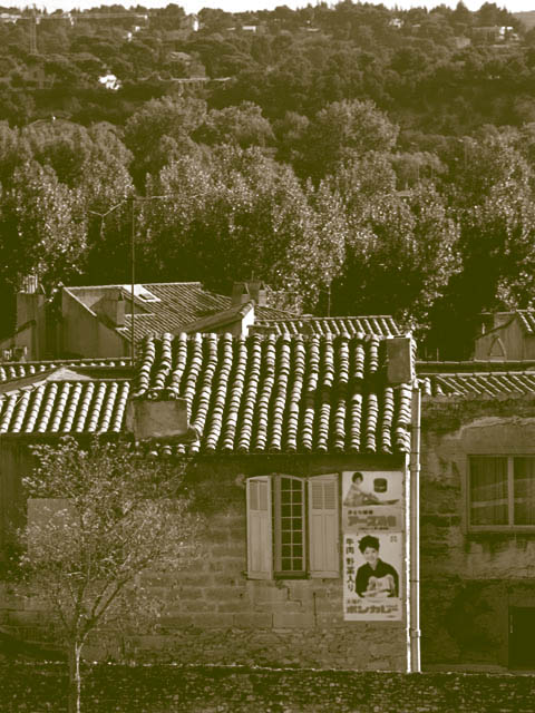 c0083518_1946250.jpg