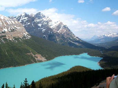 e0047322_21422916.jpg