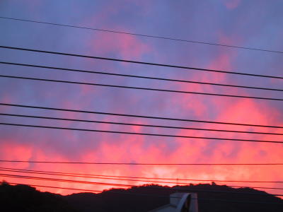 c0023323_621795.jpg