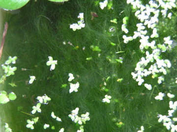 f0128723_1922514.jpg