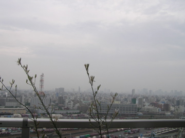 f0128723_2095446.jpg