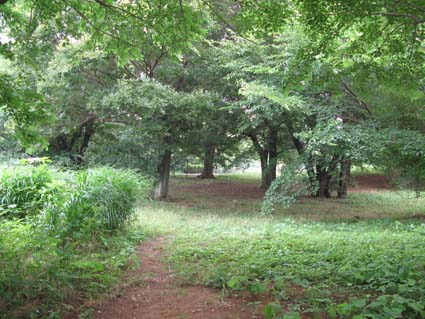 d0109728_2016558.jpg