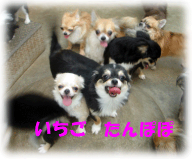 b0078030_1262163.gif