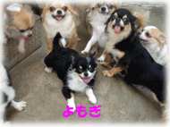 b0078030_1284688.gif