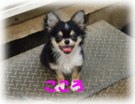 b0078030_1292866.gif
