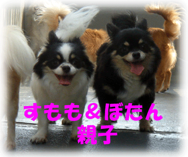 b0078030_1312373.gif