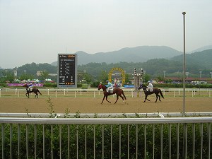 c0042941_22122421.jpg