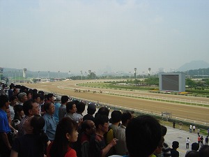 c0042941_22124587.jpg