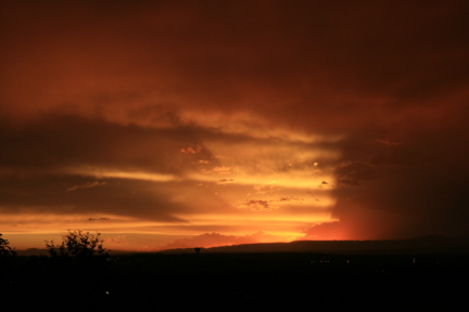 e0104941_6514381.jpg