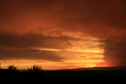 e0104941_652893.jpg