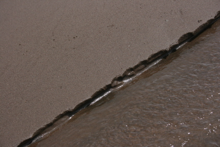 e0104941_657654.jpg