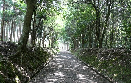 c0057946_185701.jpg