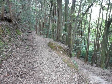 c0057946_18581090.jpg