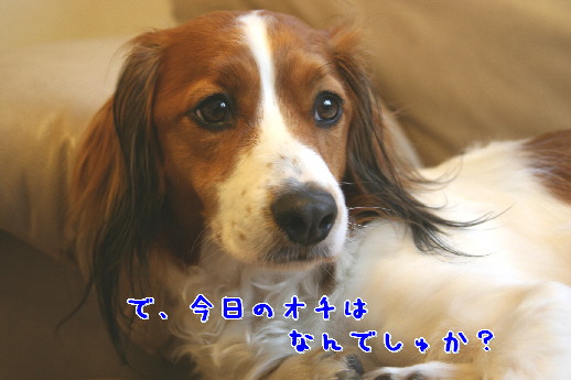 d0013149_2173219.jpg