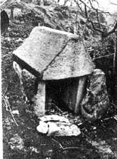 e0018762_918421.jpg