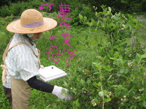d0050871_1458345.jpg