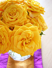 a0007078_1751542.jpg