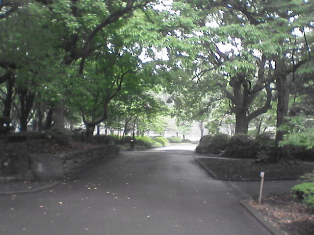 c0069380_1572535.jpg