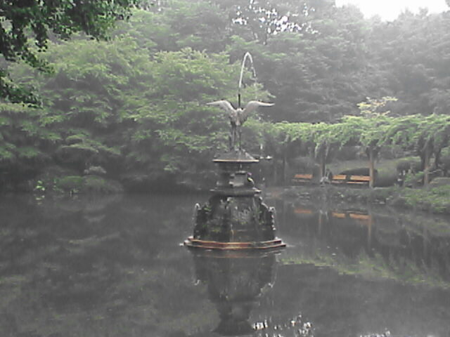 c0069380_1575659.jpg
