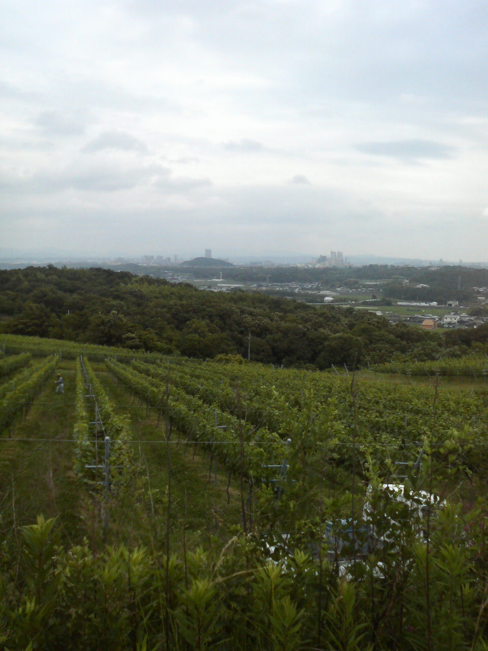 e0024081_1340244.jpg