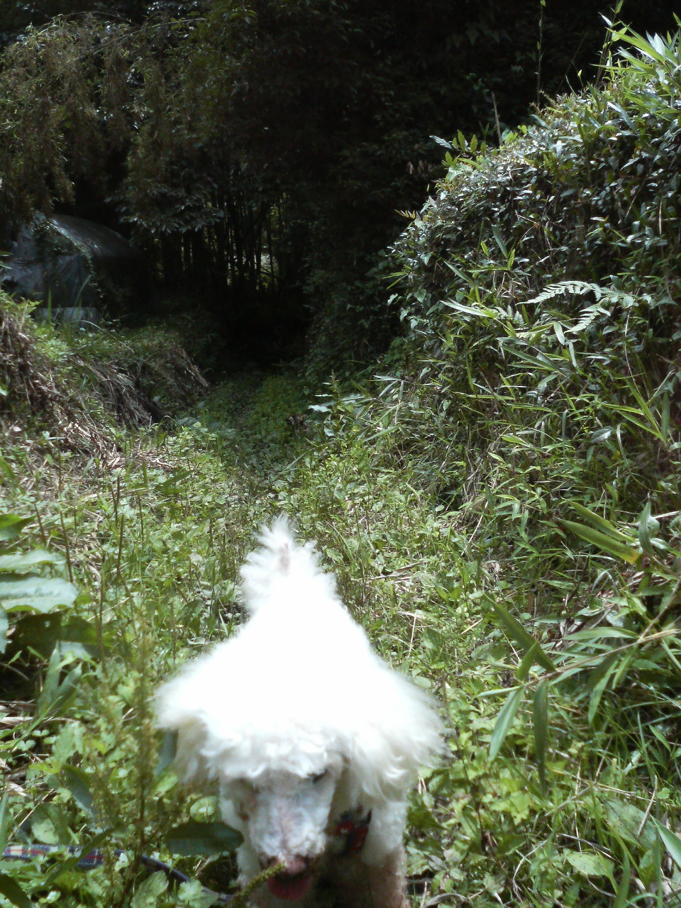 e0024081_13402790.jpg