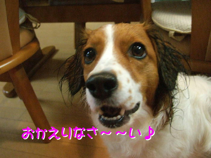 c0075585_23484529.jpg