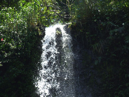 e0028387_0363118.jpg