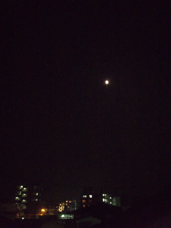 f0087787_7441280.jpg