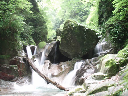 f0087787_80368.jpg