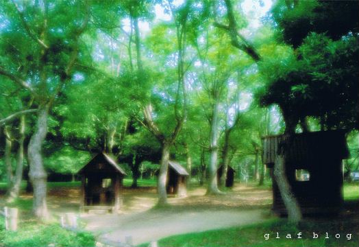 b0056790_617591.jpg