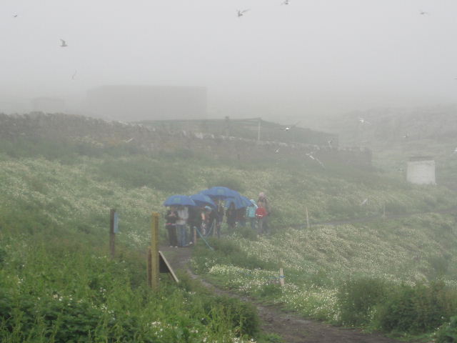 c0114797_5222420.jpg