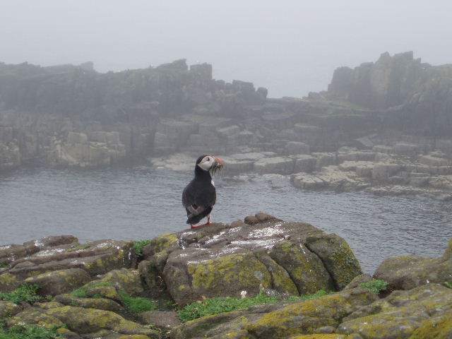 c0114797_5254287.jpg