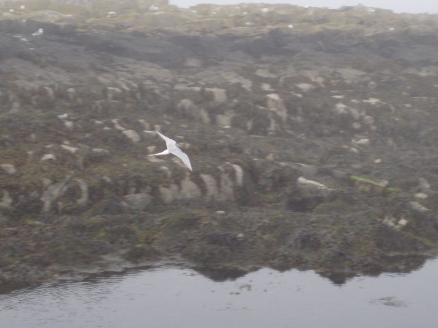 c0114797_5404877.jpg