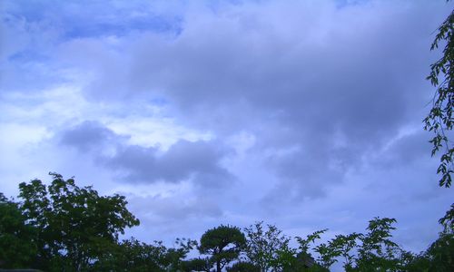 d0069498_17111815.jpg
