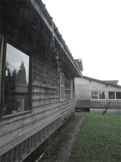 a0061599_85558.jpg
