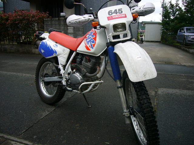 b0050305_14312785.jpg